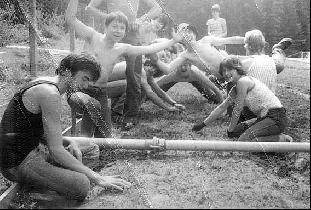 Forest harvesting brigade (June 1981) Forest harvesting brigade (June 1981)